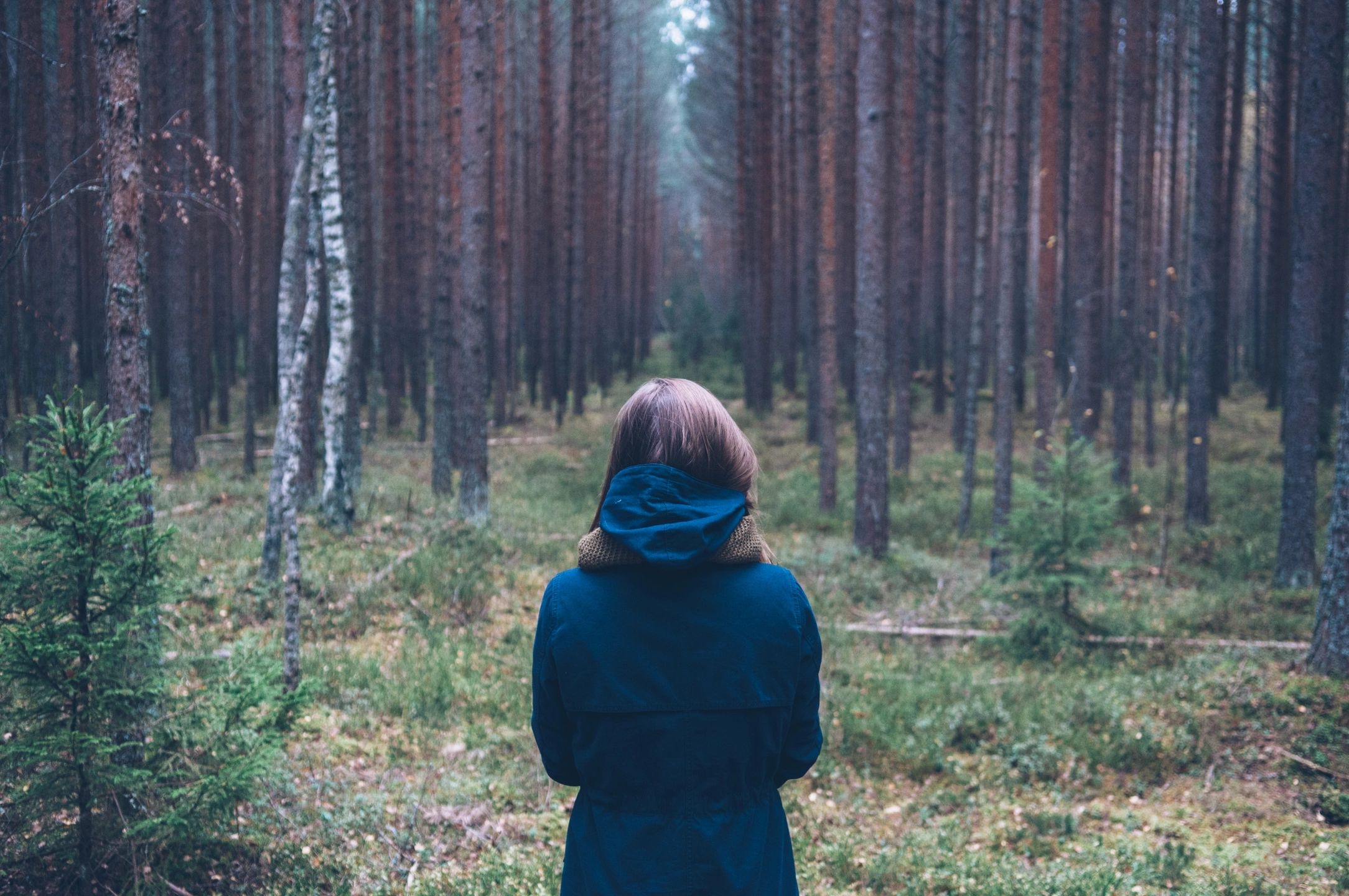 Girl staring into the woods on a dreary day